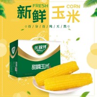 黃玉米200g*10/箱