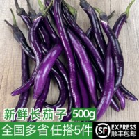 新鮮長茄子500g 杭茄 黑紫長線茄子 農家新鮮蔬菜