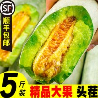 山東羊角蜜甜瓜新鮮水果現貨5斤當季整箱羊角蜜瓜香瓜果酥羊角脆 整箱5斤