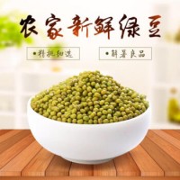 東北農家綠豆 5斤 做綠豆糕 綠豆湯 沙冰材料批發自種五谷雜糧豆類 新綠豆1000克